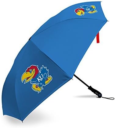 לוגו מותגים רשות העתיקות רישיון רשמי מטרייה, צוות צבע, אחד גודל
