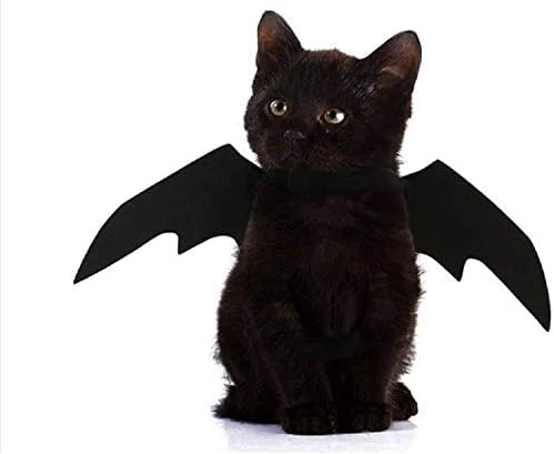 תלבושת מחמד מקספורר חתולים חמודים כנפי עטלף גור לבוש לבוש לקישוט מסיבת ליל כל הקדושים