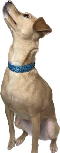 צווארוני כלבים מסוגננים מסוגננים עם נמר עם אור LED צבעוני