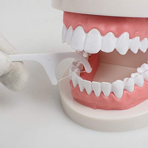 100 יחידות שיניים חוט דנטלי מבחר שיניים קיסמים מקל אוראלי טיפול שן נקי